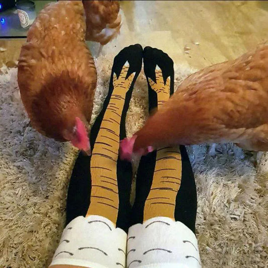 Funny Chicken Legs Socks Two chickens pecking at a person's feet wearing black socks with chicken designs.
