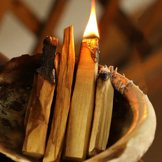 Palo Santo Holy Wood Sticks Wooden sticks burning in a container with a blurred background