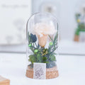 Preserved Flower in Glass Dome | Dandelion flower Wish Jar