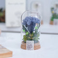 Preserved Flower in Glass Dome | Dandelion flower Wish Jar