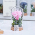 Preserved Flower in Glass Dome | Dandelion flower Wish Jar