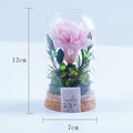Preserved Flower in Glass Dome | Dandelion flower Wish Jar