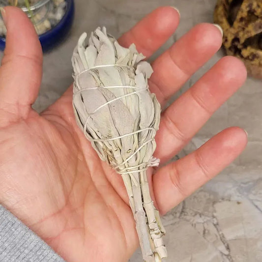 White Sage Smudge Stick A hand holding a small white sage smudge bundle wrapped in white string, shown close-up against a neutral stone-like background.
